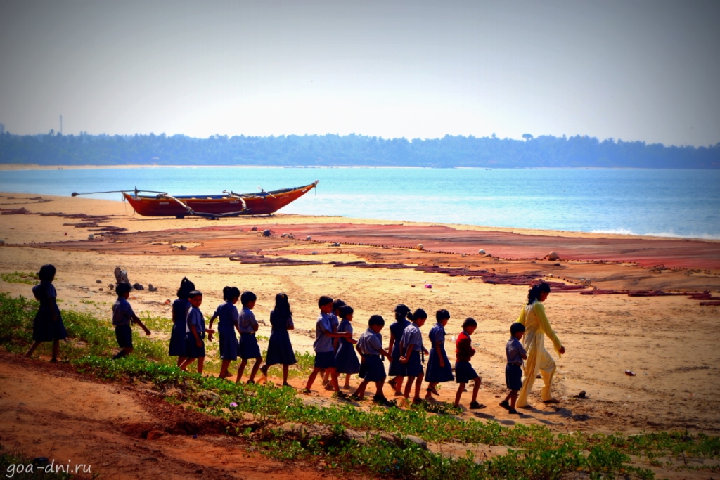 малыши идут на водопой в Индии